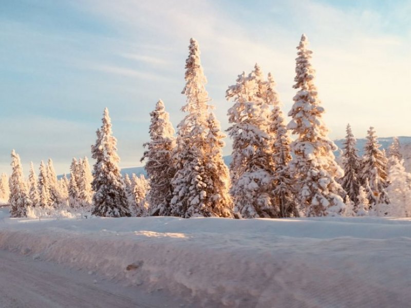Vy Stöten Fjäll